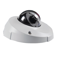 BE-4714DMFP IP Camera Blue-eye